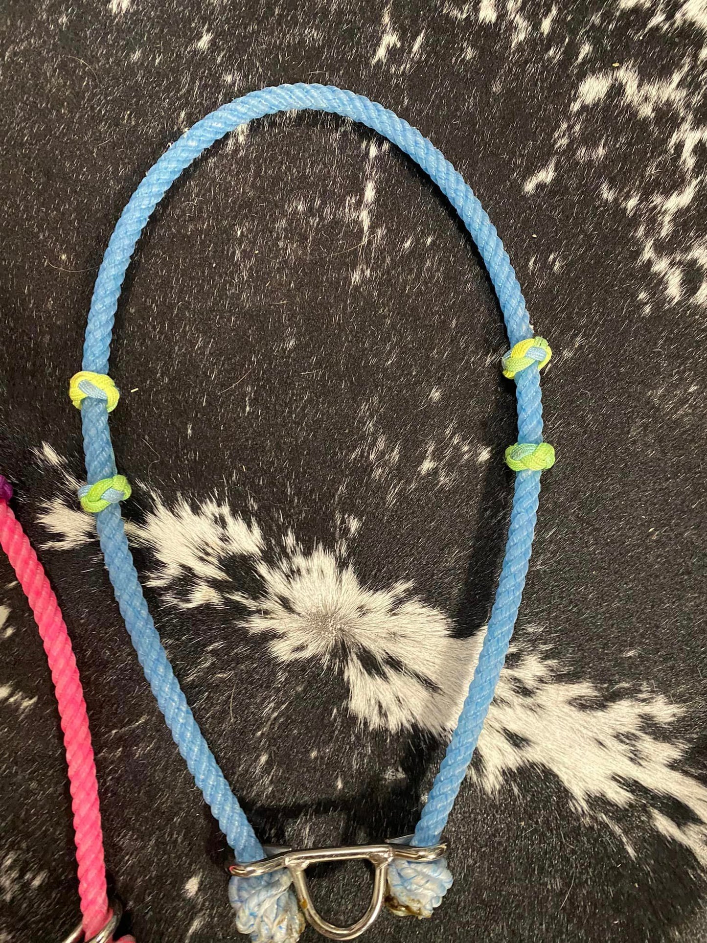 Lariat nose band with 4 knots